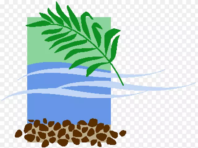 ���ƿ�Ҷֲ�ﾥ�Ѽ�����-�Ĵ����Ǿ���-������