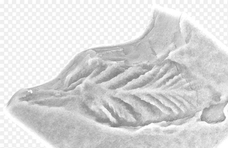 ����Ь-������