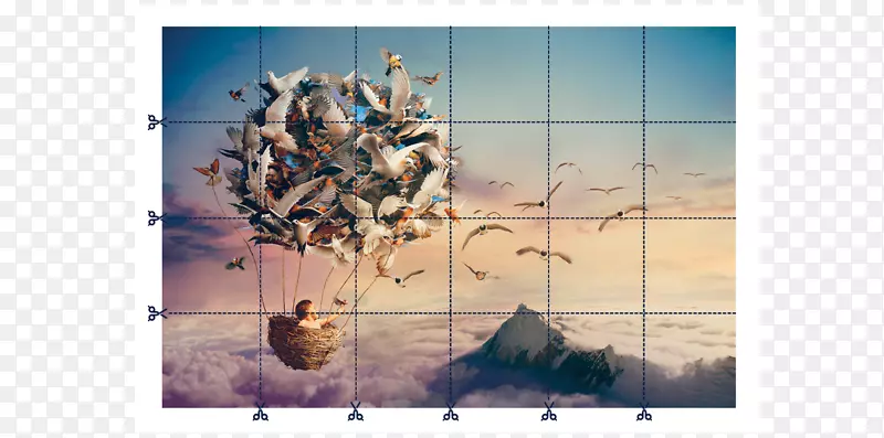 �����ֽ��-������