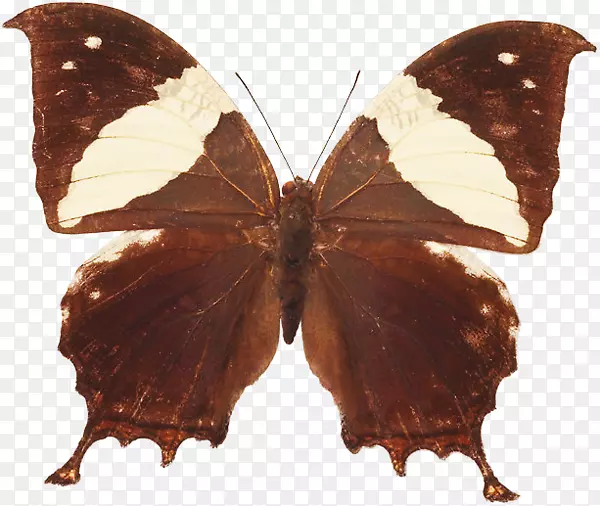 ë���׵ĺ������ɶ꣬����-����-������