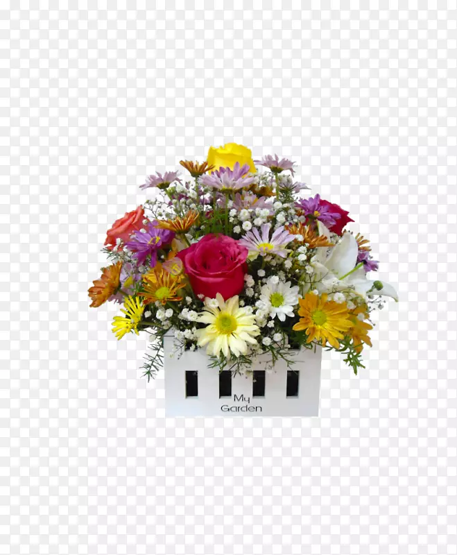 ��������л������г���԰-������