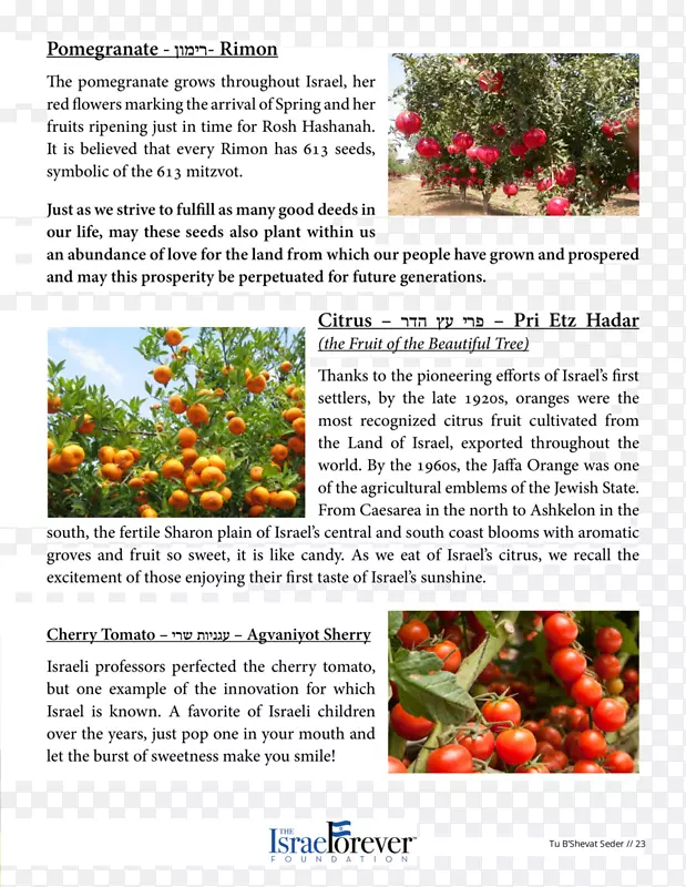 ��ʳ��ʯ�����-������