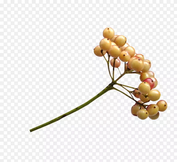 ˮ���ջ���-������