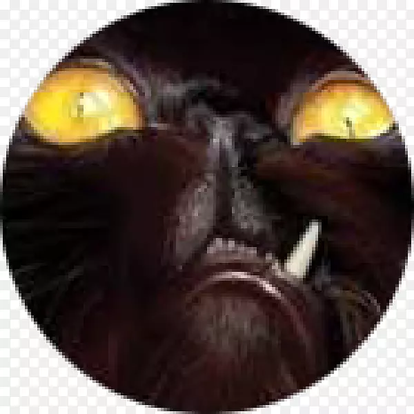 La braserie des tchets crl flhimont�����ʼ������绰����-Pilon-������