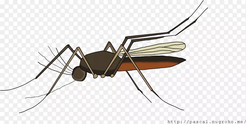 ���ϼ׳�-������