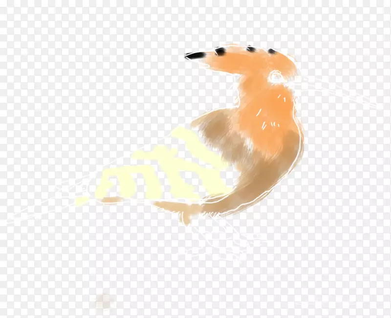 Ȯ��Ȯ���������ֽ๹�-������