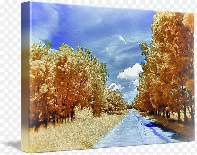 ˮ�ʻ����컭-������