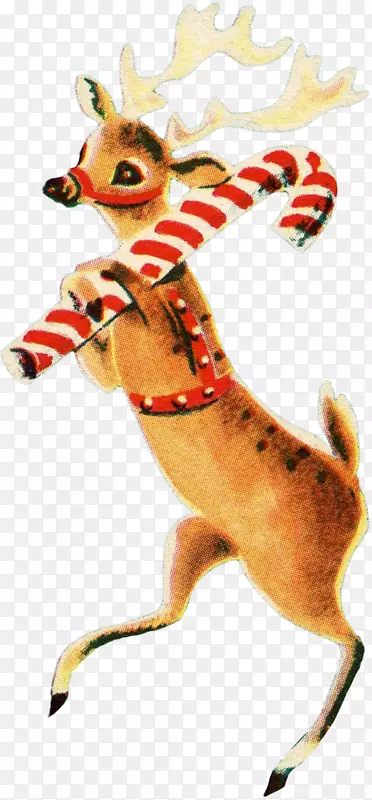 ѱ¹�����Ұ������ѱ¹-������