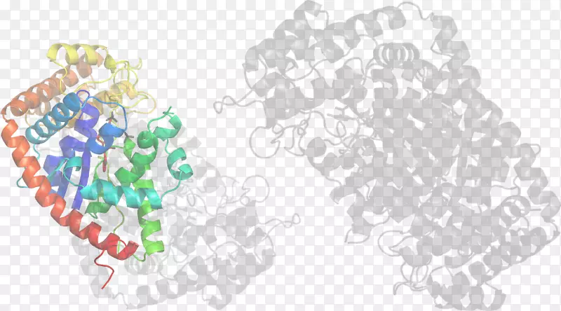 ֱ�ߵ���-������