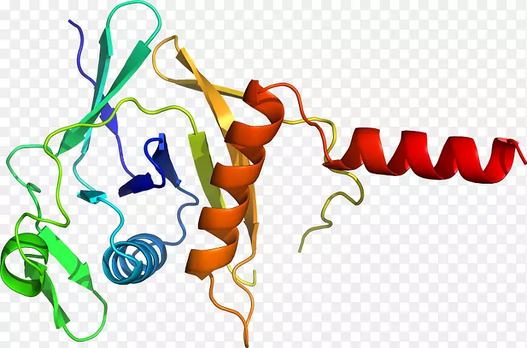 ƽ����Ƽ�����.���-������