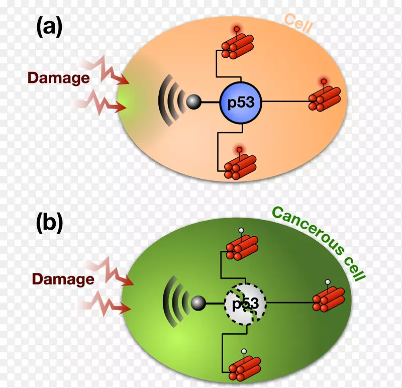 �����������-������