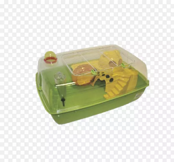 ������С����-������