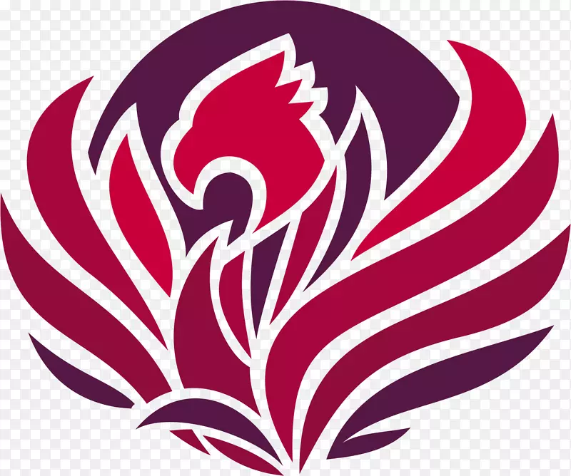 ���꿪��ֲ��Ҷ��������������-������