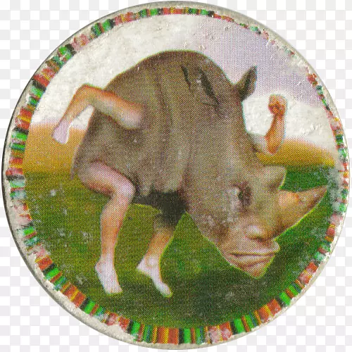 ����Ұ������-�̰�-������