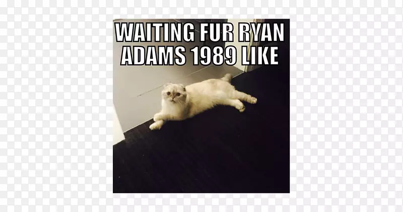 è����������è-������