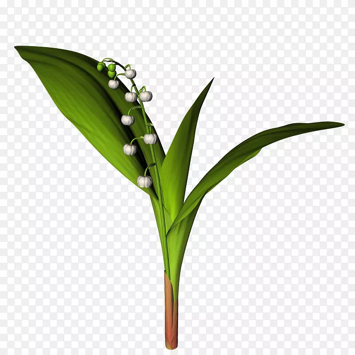 Ҷ���ػ�Ҷ-������