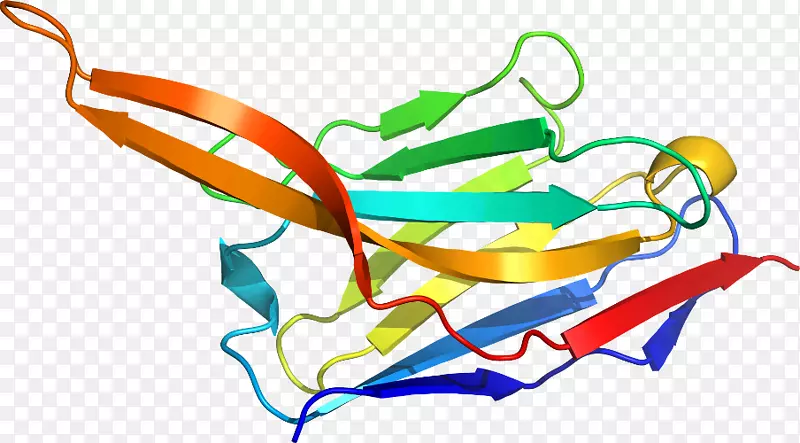 �ߵ������-��-������