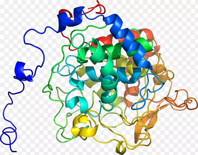 �����鱦���л����������-������