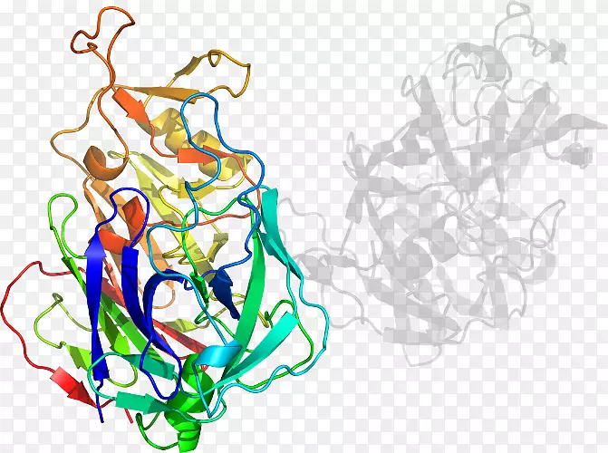 ƽ��������������������-������