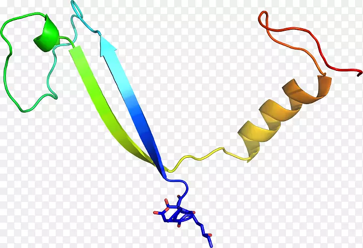 ֱ�ߵ�Ҷ��������-������