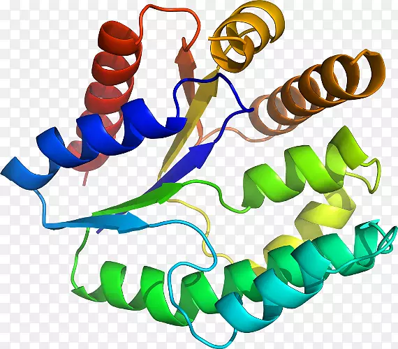 ���������л����߼�������-������