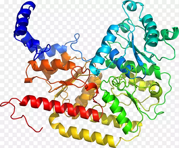 �����鱦�л��������.�鱦-������