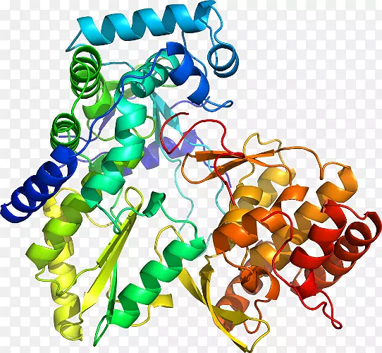 ���������л����߼�������-������