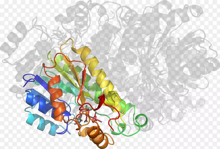 ��ľ������-��-������