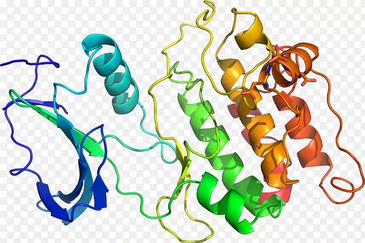 �ߵ������������-������