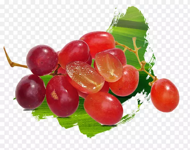 Zante����ˮ��ɳ�������ײ��������ѣ�����-��ɫ���Ч��ͼ-������