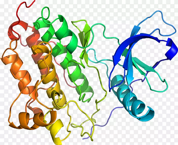 ���������л����߼�������-������