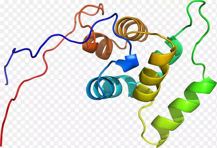 �ߵ������-��-������