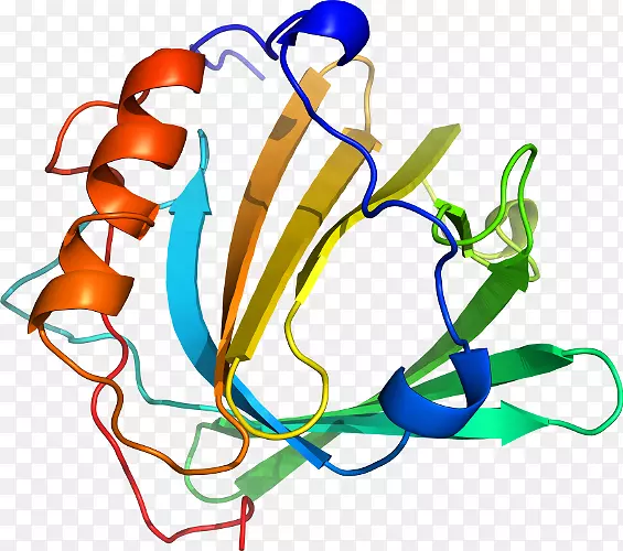 ���������л����߼�������-������