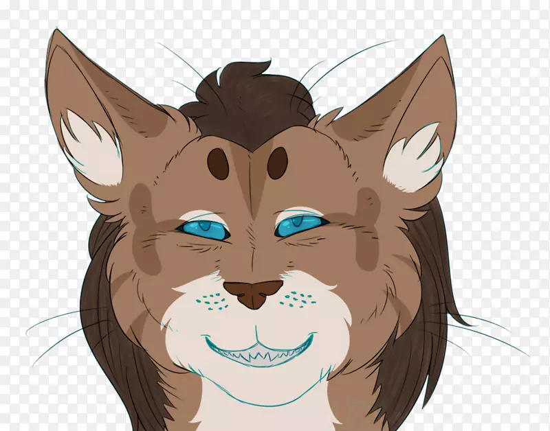 ����è���Ӽ�����è-������