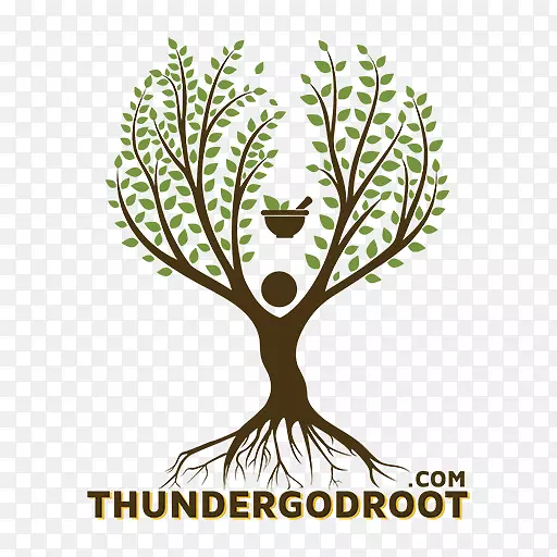 ��־����ֲ�ﾥ����-����-������