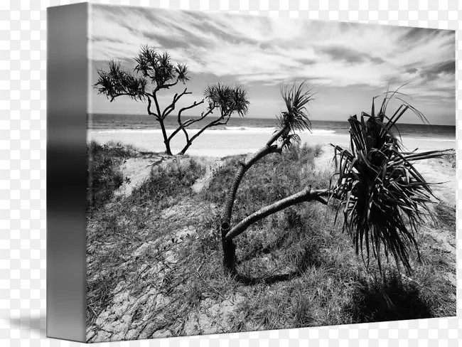 ��Ӱ�����plc-��̲��-������