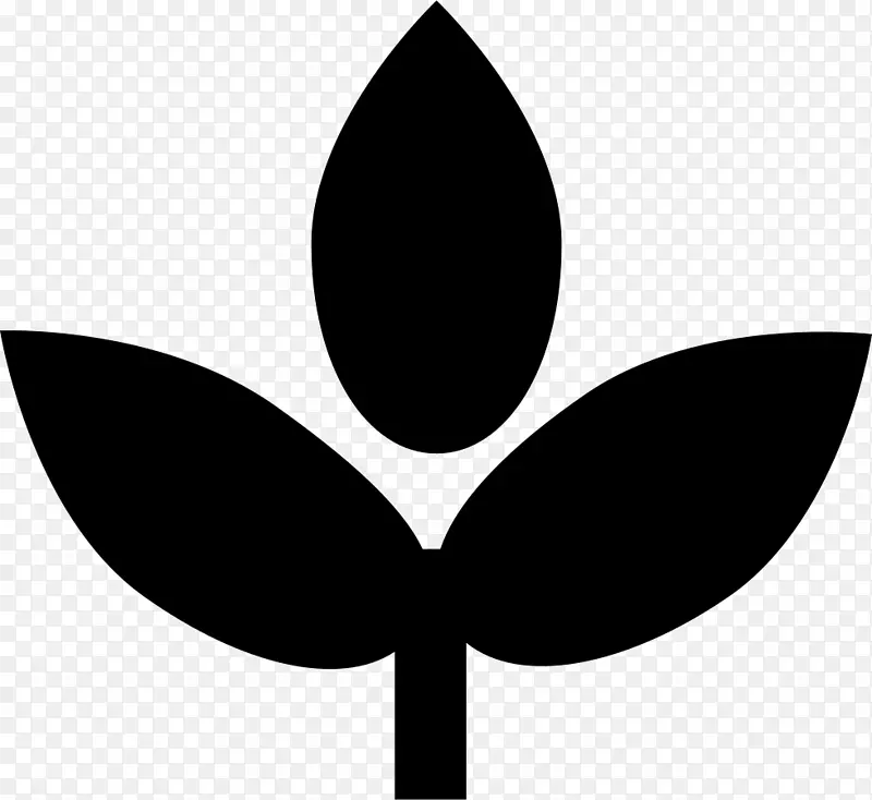 Ҷ����ֲ�������-Ҷ-������