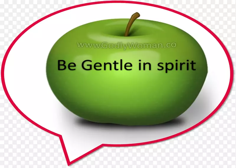 ʷ��˹���̳���ʳƷ�����ֽ���-������