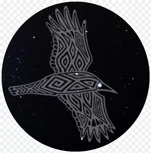 ���Ŷ������-������