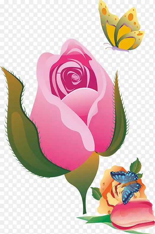 õ�廨-��-������