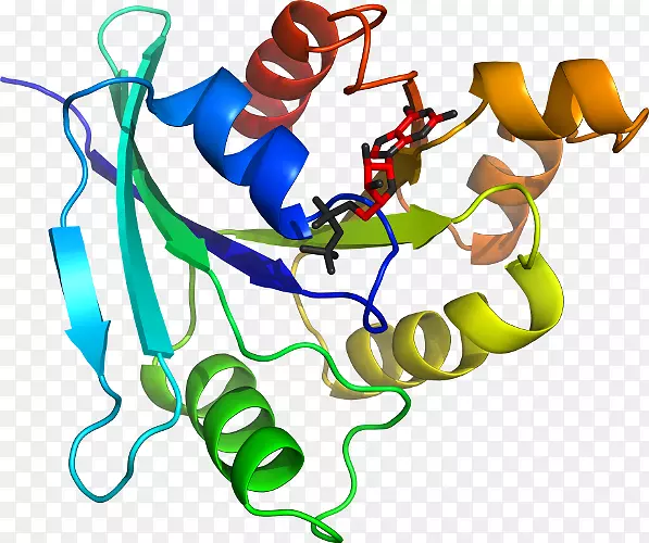 �ߵ������������-������