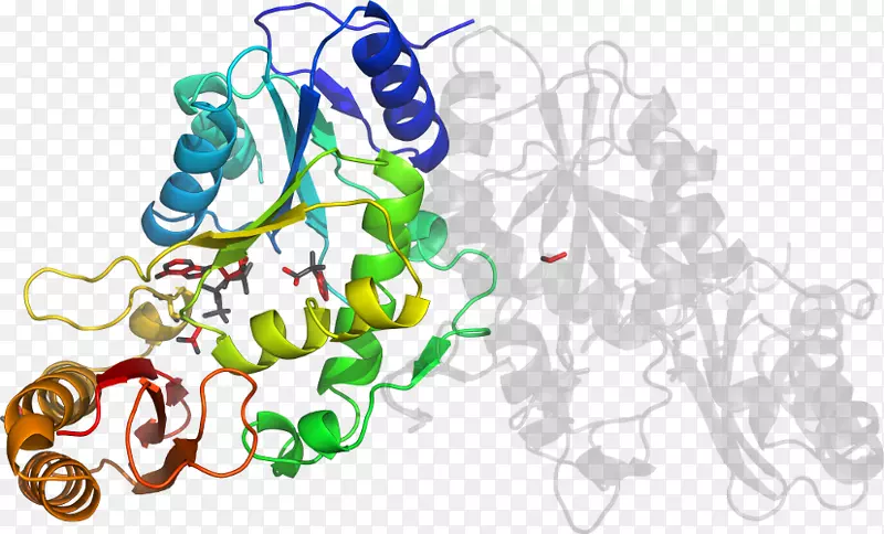 ���߼�����-��-������