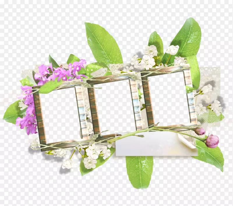 ������ƻ���.���-������