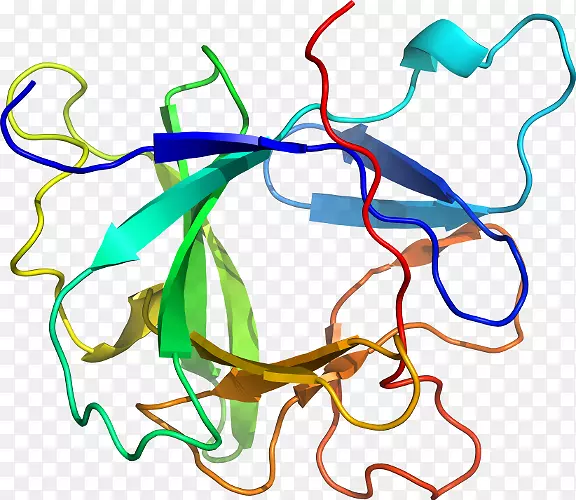 �ߵ������������-������