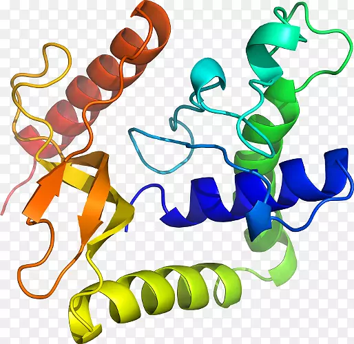 ���������л����߼�������-������