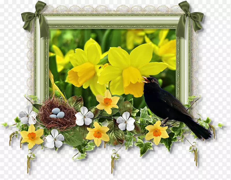 ��������л�ֲ�ﻨ��-������