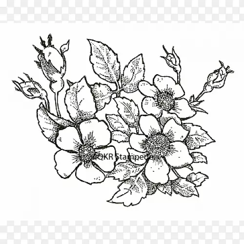 ��������л��Գƻ���-������