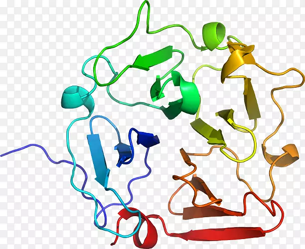 �ߵ������-��-������