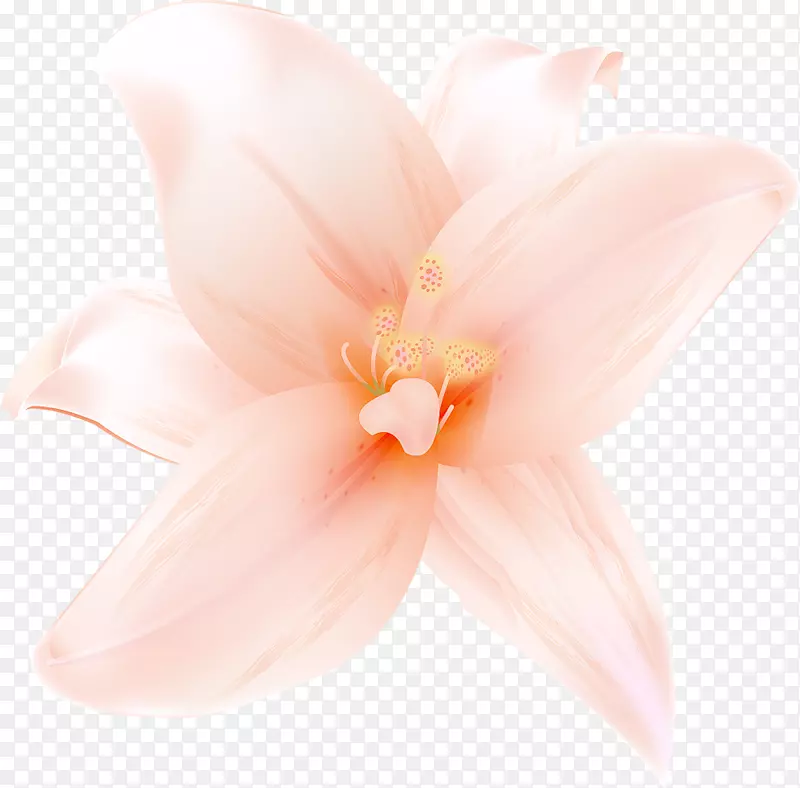 ���꿪��ֲ��-���ɫ�ٺ�-������