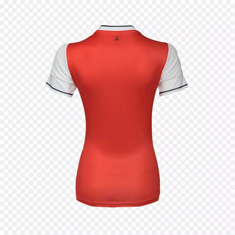 t����������չʾt��-������